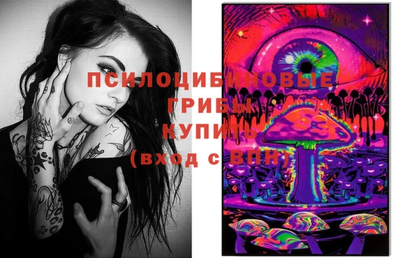 винт Липки