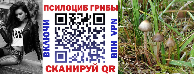 Псилоцибиновые грибы прущие грибы  Купить где  Ханты-Мансийск 